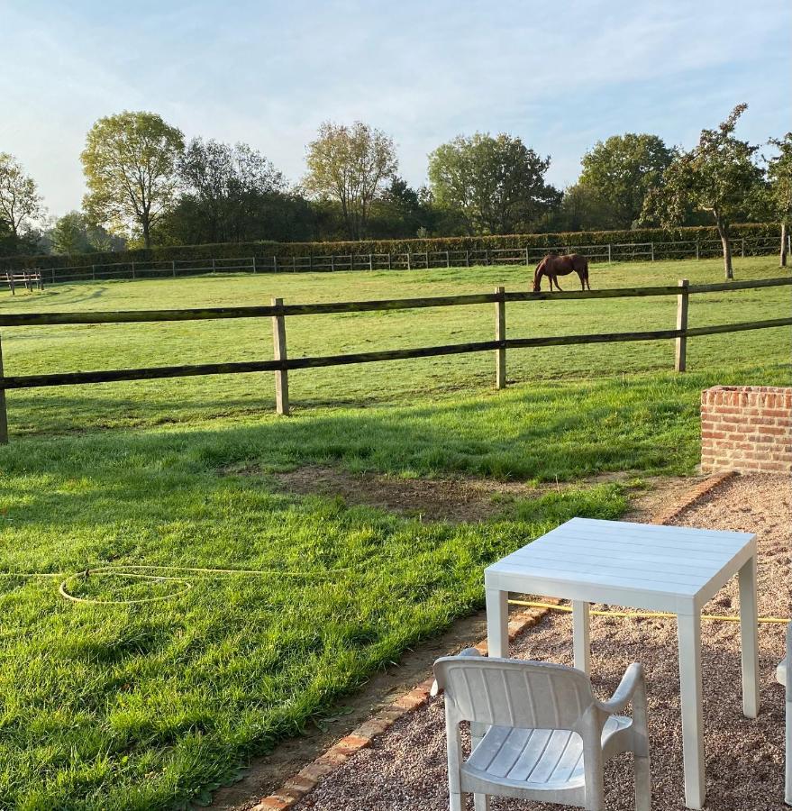Appartamento La Longere Du Haras Manerbe Esterno foto
