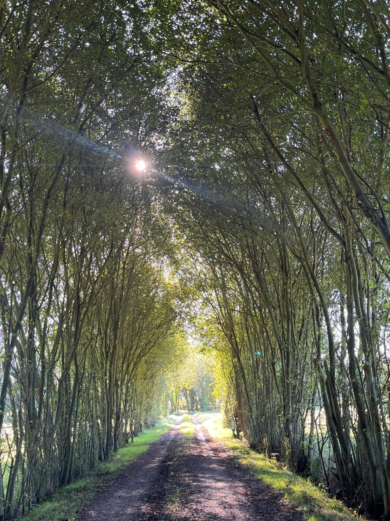 Appartamento La Longere Du Haras Manerbe Esterno foto