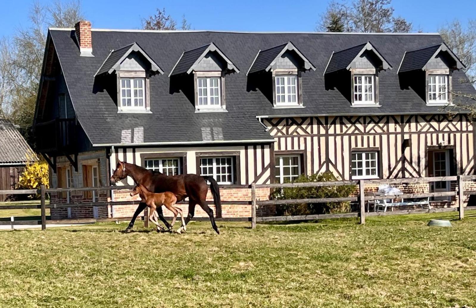 Appartamento La Longere Du Haras Manerbe Esterno foto
